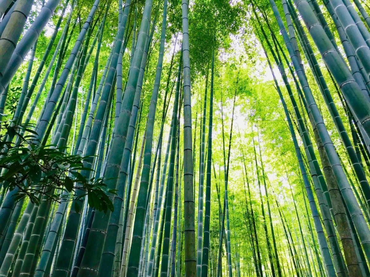 Kamakura Cocon 호텔 외부 사진
